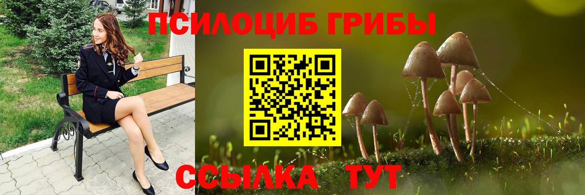 Галлюциногенные грибы ЛСД  Вход с VPN  Заринск 